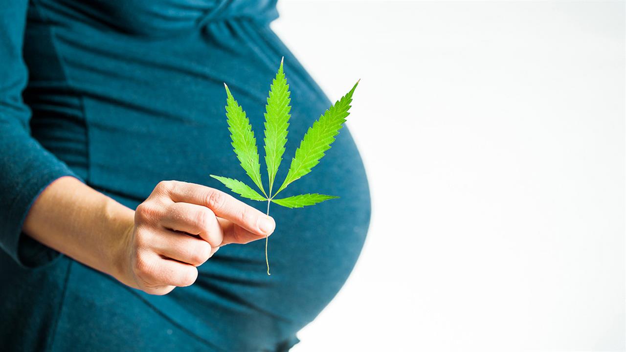 Οι επιπτώσεις της χρήσης κάνναβης κατά την εγκυμοσύνη