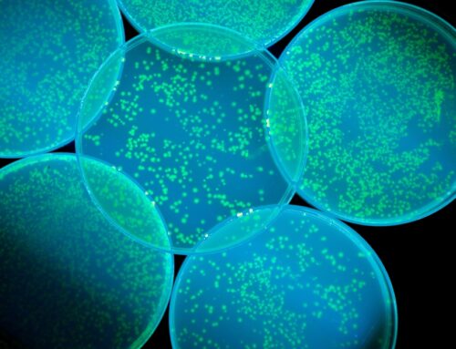 Αντιβιοτικό στην «αφάνεια» 100 φορές ισχυρότερο ενάντια στα υπερβακτήρια