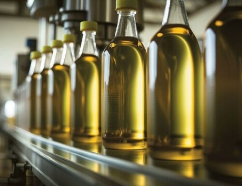 Πώς φυλάμε το φρέσκο ελαιόλαδο για να μείνει αρωματικό και γευστικό όλο τον χρόνο