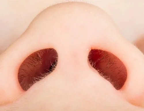 Πού σταματά το κρυολόγημα πριν καν αρχίσει